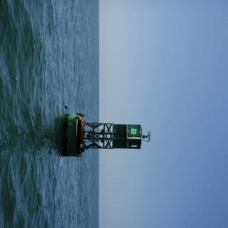 Green Buoy at Sea