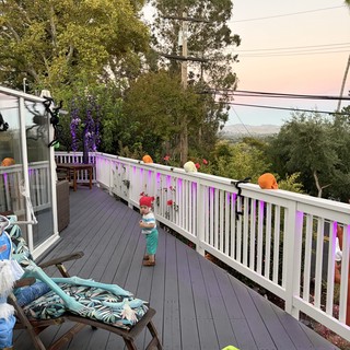 Halloween Deck Party with Toddler and Misty Hills
