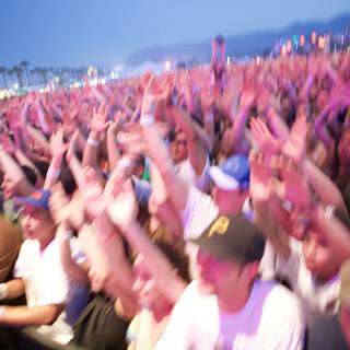 A Sea of Hands at Coachella