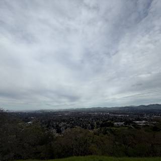 Under the Cloudy Skies of Walnut Creek