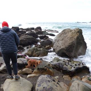 Man and his faithful dog exploring the rocky shores of Jenner