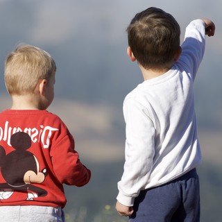 state-park-overlook