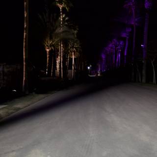 Purple Light Road