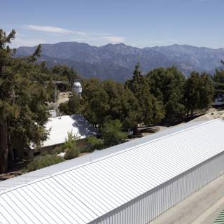 White Roof Building and Trees