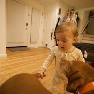 Toddler in Pajamas Exploring Living Room at Night