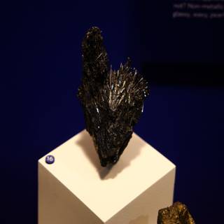 The Enigmatic Mineral Expression