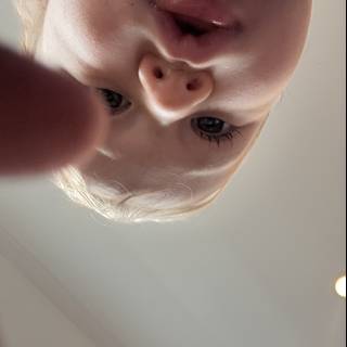 Curious Glimpses