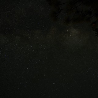 Milky Way Rises Over Mount Lassen's Ancient Forest