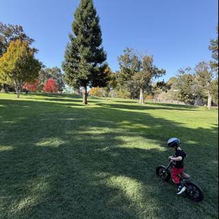 Pedal Adventures in Larkey Park