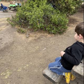 Curious Moments in Cambria