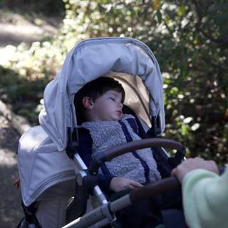 Afternoon Slumber in Thistlewyck