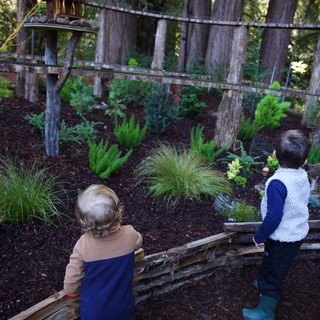 Private residential garden or nature center