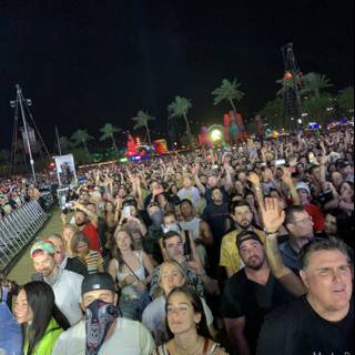 Concert Crowd Energy