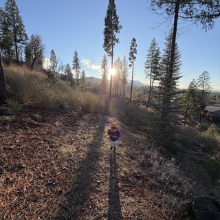 long-shadow