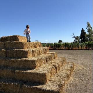 Scaling the Haystack