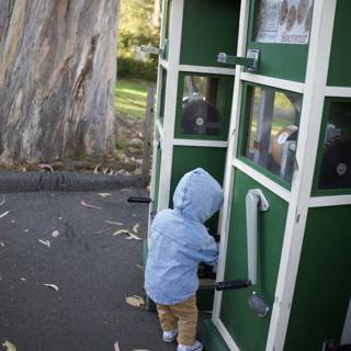 Little Explorer: The Curious Mind at SF Zoo