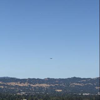 Flight Over Walnut Creek
