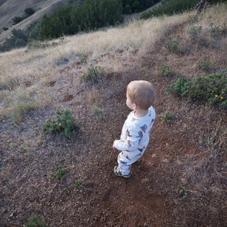 Toddler Explorer Gazes Across Golden Hills at Dusk
