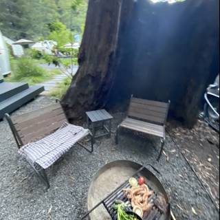 Summer BBQ in the Woods