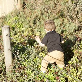 Childhood Exploration in Nature