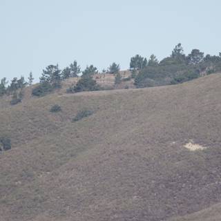 Tranquil Highlands of Carmel Valley