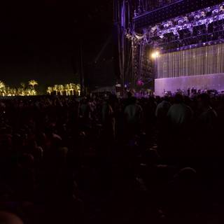 Coachella Rock Concert Crowd