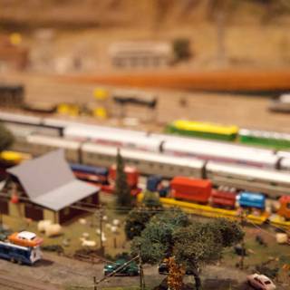 Miniature Marvels at Walnut Creek