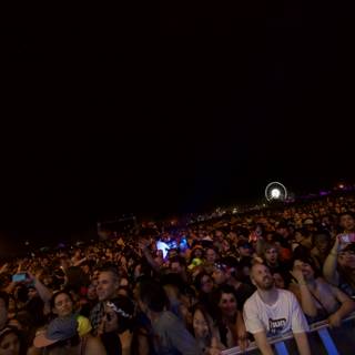 Night Concert Crowd