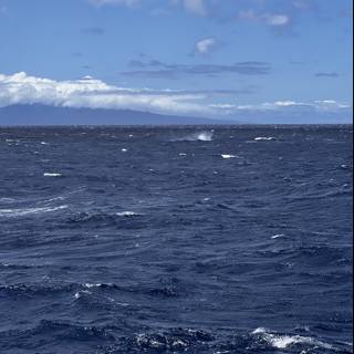 Majestic Whale Swimming among Clouds