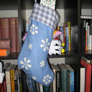 Blue Stocking on Bookshelf