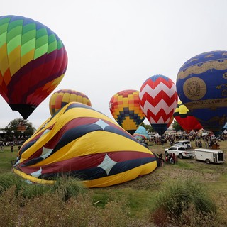 Colorful Hot Air Balloons Fill the Skies at Festival