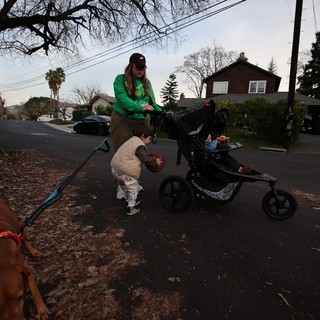 Evening Walk with Family and Dog in Suburban Neighborhood