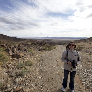 joshua-tree-area-ridge