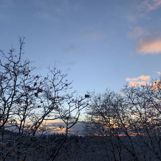 Winter Sunset in San Bernardino National Forest
