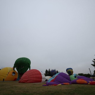 Colorful Hot Air Balloons Inflate at Dawn Festival