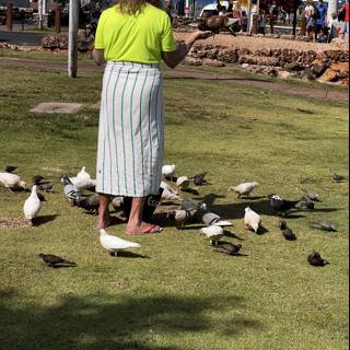 Bird-Feeding in Maui