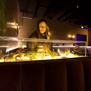 Woman Examining Illuminated Museum Display Case at Night