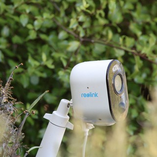 Reolink Security Camera Mounted in Garden Setting