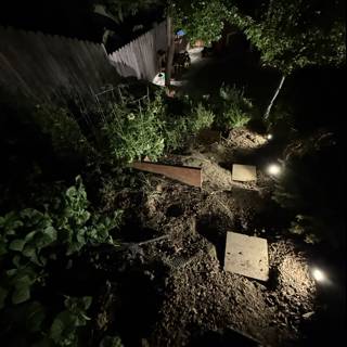 Moonlit Garden Path