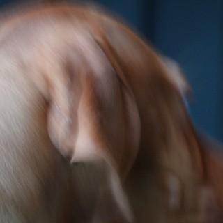 Motion Blur Portrait in Blue Light