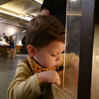 Curious Moments