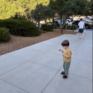Stroll Through the Park