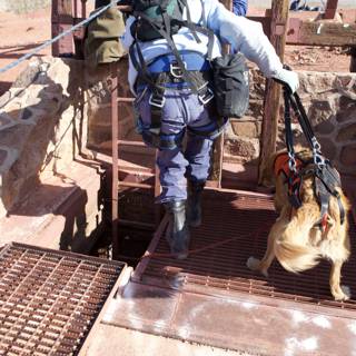 Mine Rescue Team with Canine Assistant