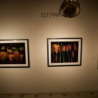 Ed Man's Captivating Art Exhibition at MoMA Gallery