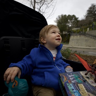 Young Boy Gazing Upward on Overcast Day