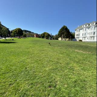 Serene View of Duboce Park