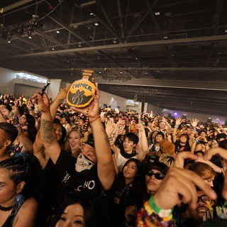 Massive Crowd Erupts at Wobbleland 2026 Festival