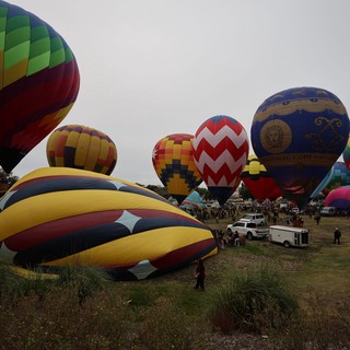 Colorful Hot Air Balloons Prepare for Morning Launch