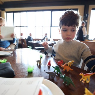 Young Boy Playing with Dinosaur Toys at Restaurant