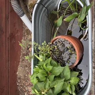 Urban Garden Retreat